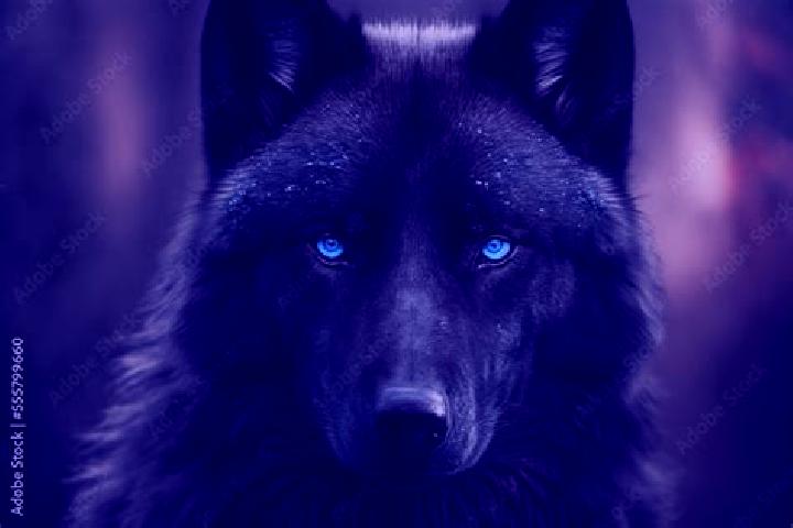 Zoey, 38, a black blue-eyed caucasian companion based in Borio. Offering Duos, A-Level, Striptease, Deep French Kissing, Prostate Massage. Available for inca...