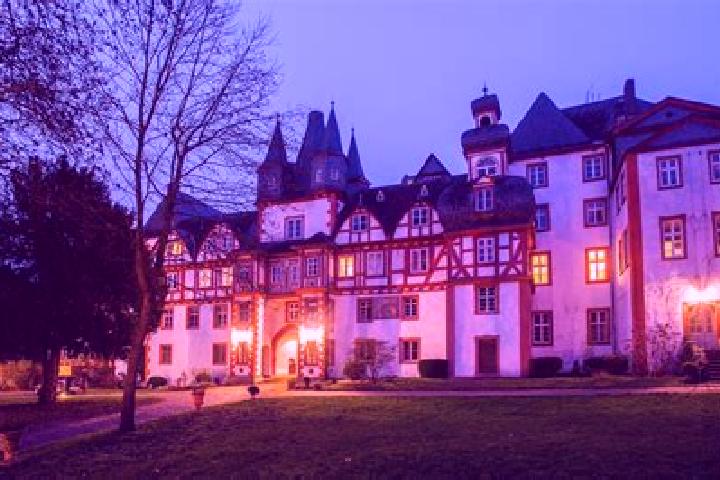 Zoey, 38 — Escort in Hungen, Germany