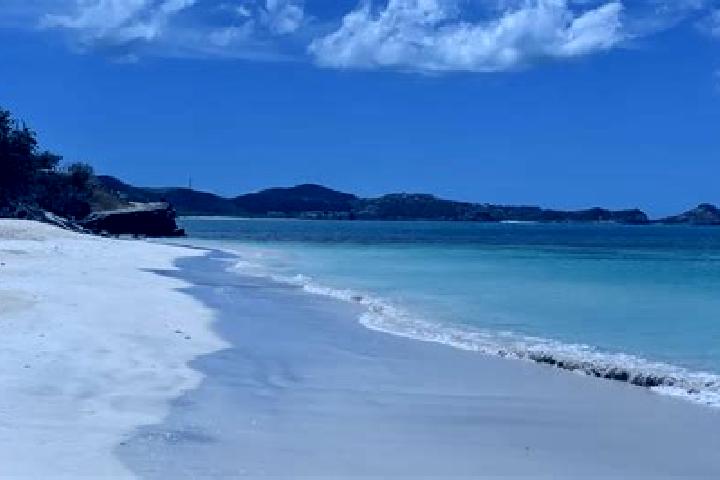 Zoey, 38 — Escort in Piggotts, Antigua and Barbuda