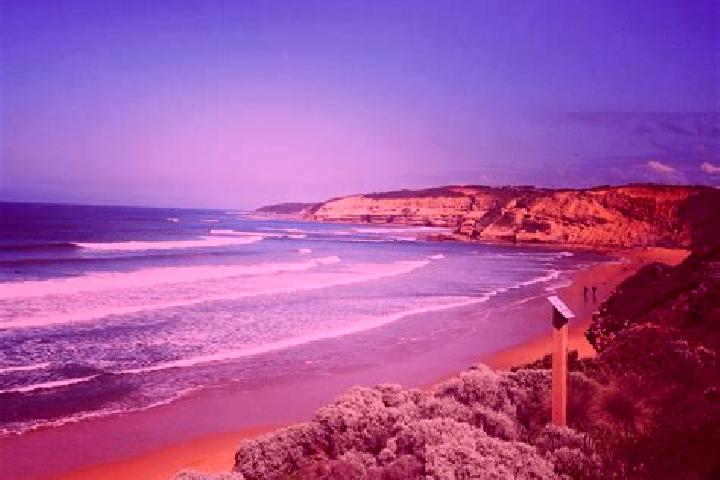 Zoey, 38 — Escort in Torquay, Australia