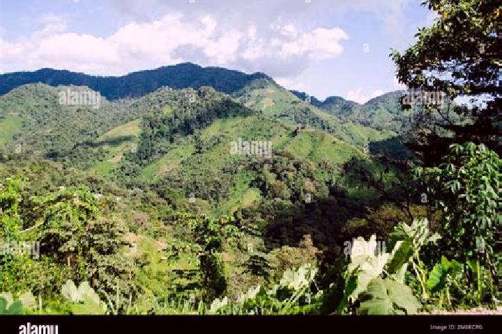 Zoey, 39 — Escort in Burunga, Panama
