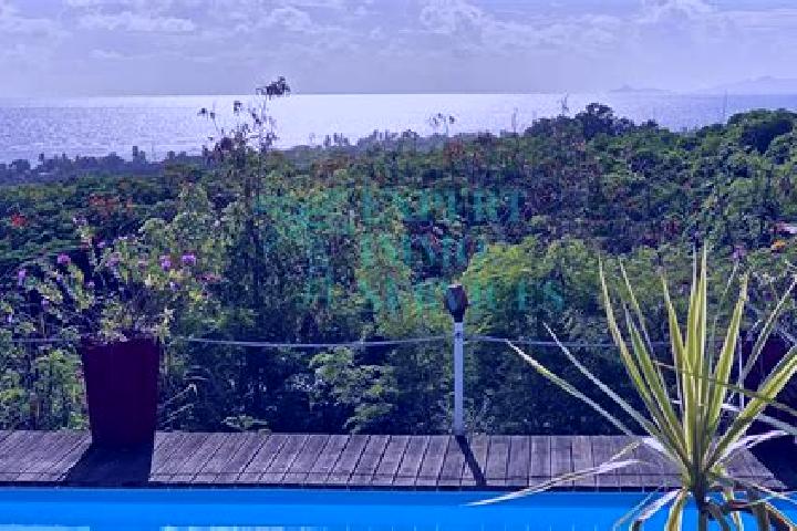 Zoey, 39 — Escort in Grand-Bourg, Guadeloupe
