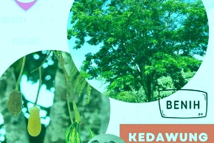 Zoey, 39 — Escort in Kedawung, Indonesia