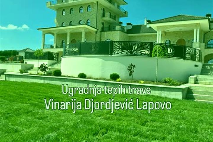 Zoey, 39 — Escort in Lapovo, Serbia