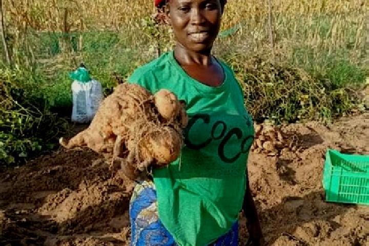 Zoey, 39 — Escort in Nioro du Rip, Senegal