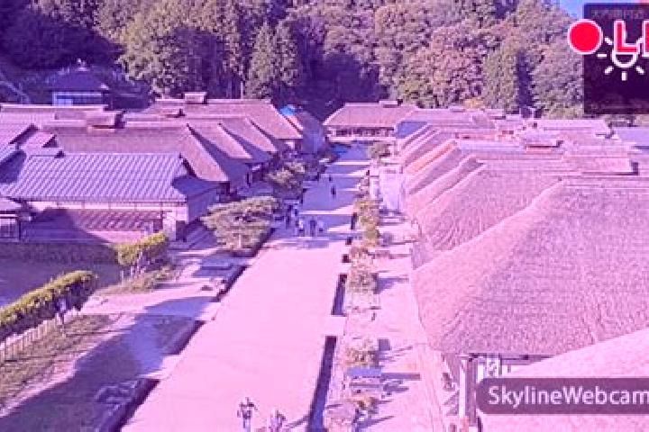 Zoey, 39 — Escort in Ogori-shimogo, Japan