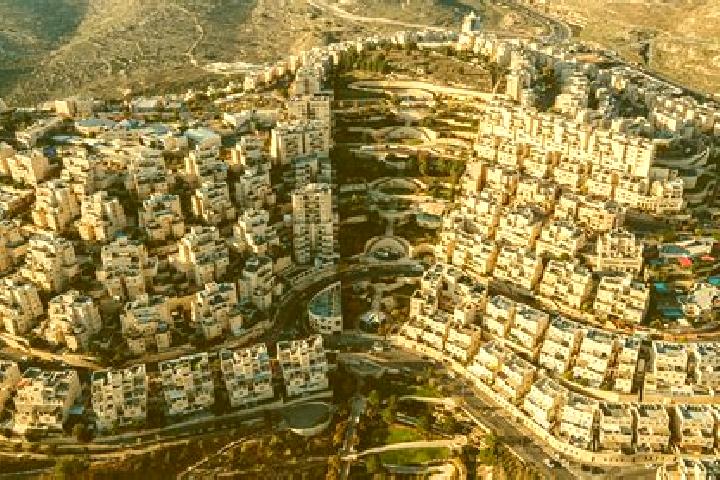 Zoey, 39 — Escort in Qalandiya, Palestine