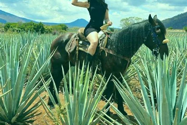 Zoey, 39 — Escort in San Julian, Mexico